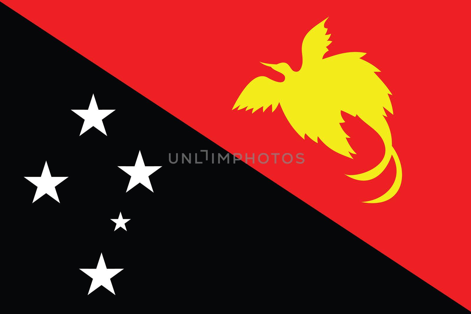 Illustration of the flag of Papua New Guinea by DragonEyeMedia