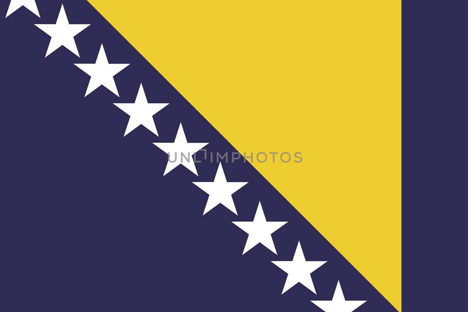 An Illustrated Drawing of the flag of Bosnia