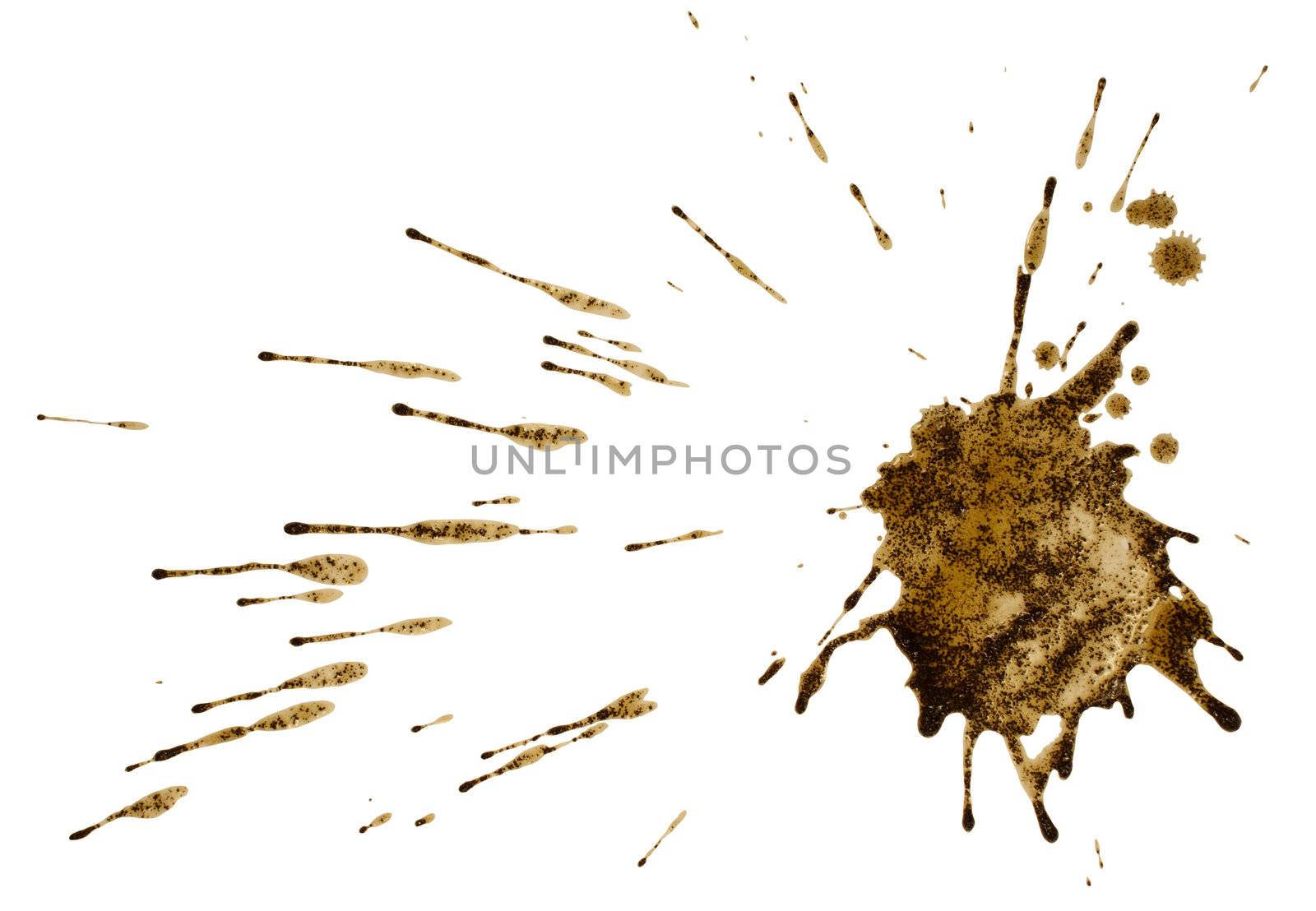 Coffee or mud splash isolated on white background. Clipping path by only4denn