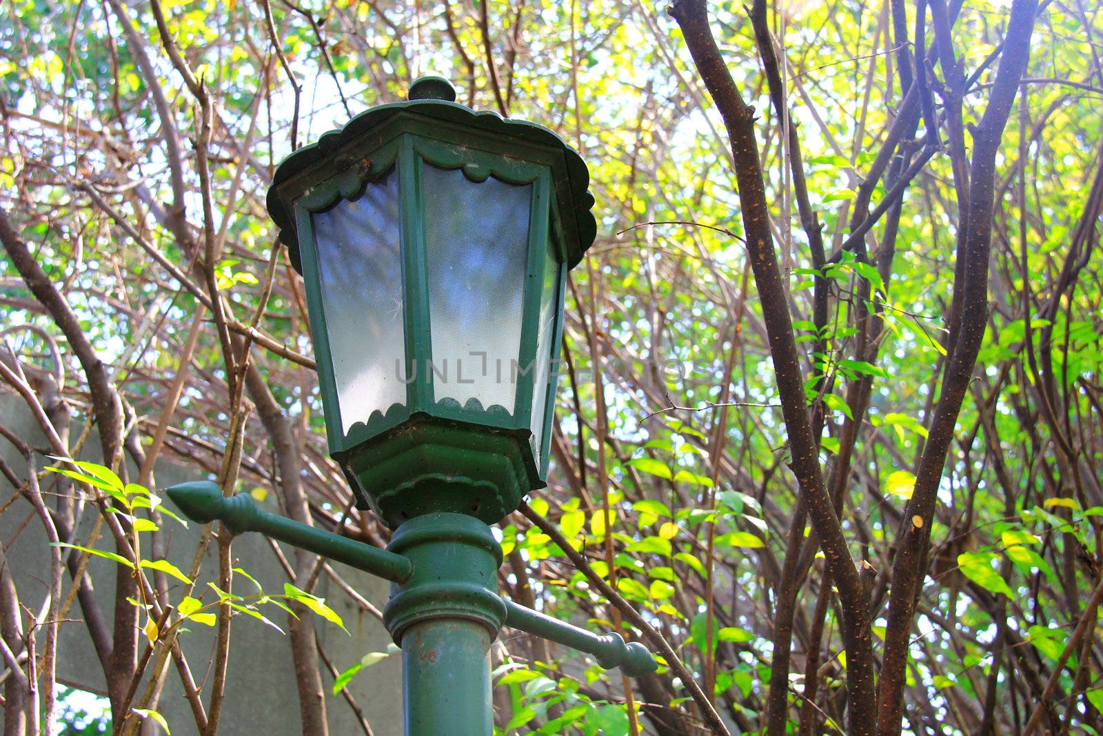 Old vintage street light in garden by nuchylee