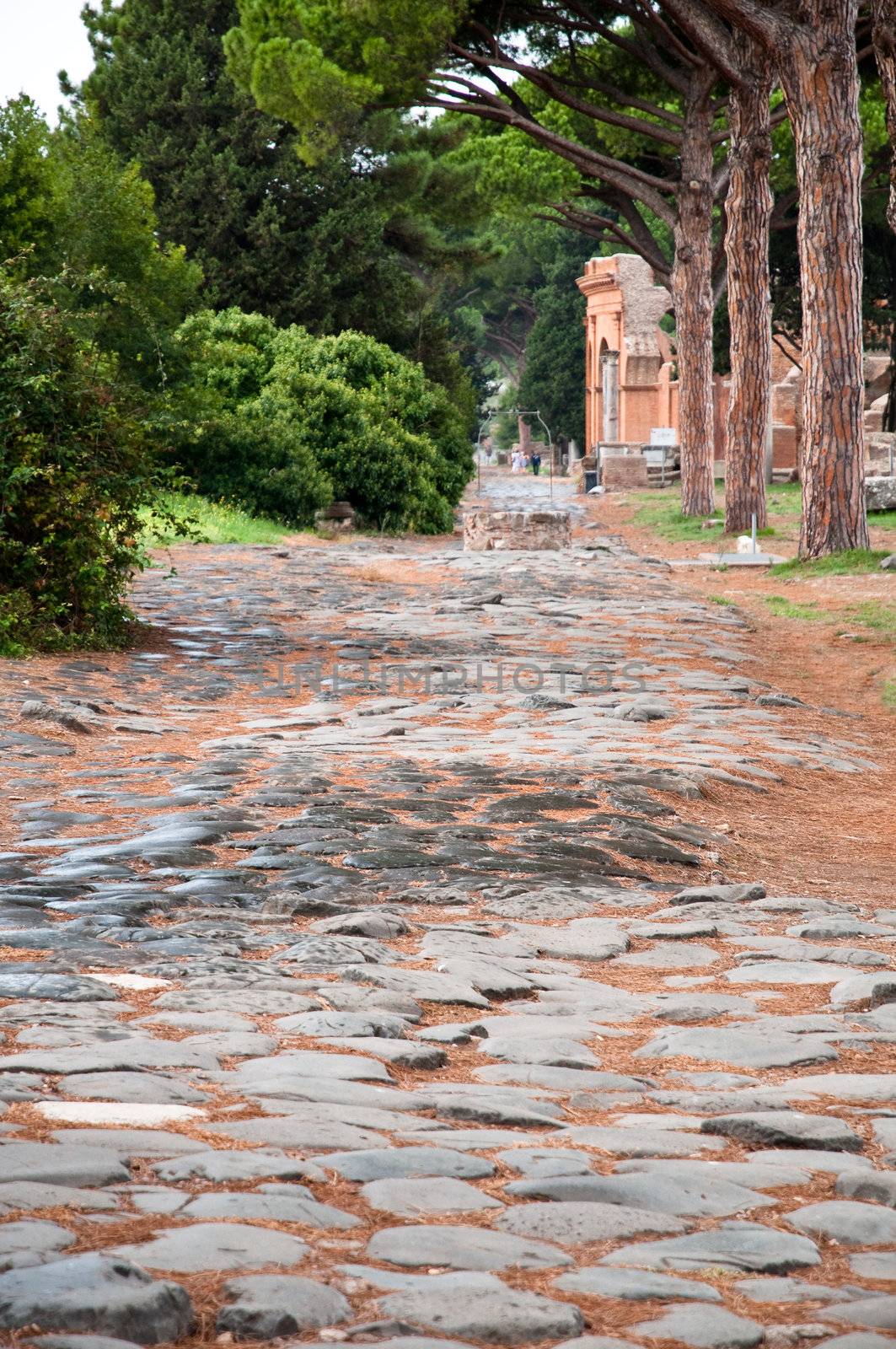 Antique stone roman way at Ostia Antica - Roma - Italy