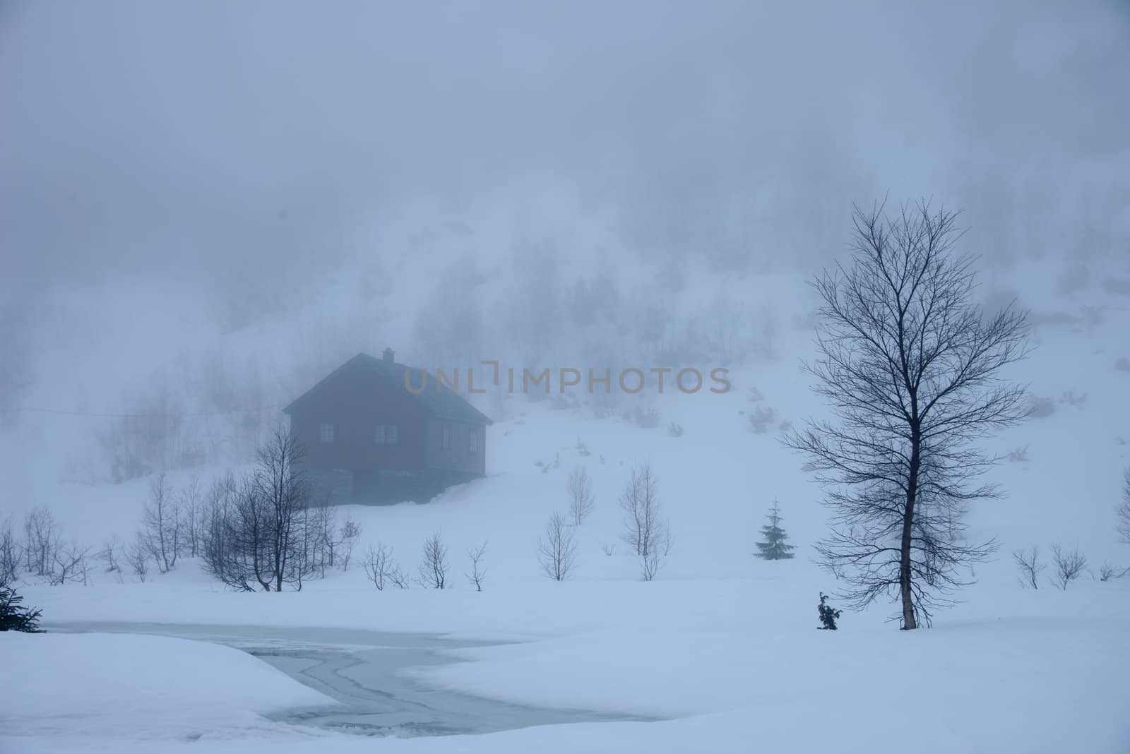 A mountain farm in winter surrounded by fog