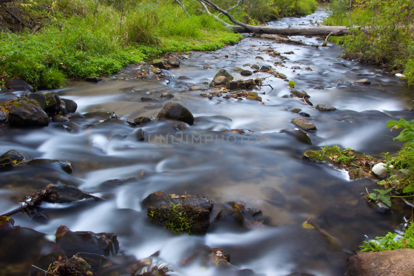 The Flowing Water of Osceola Creek