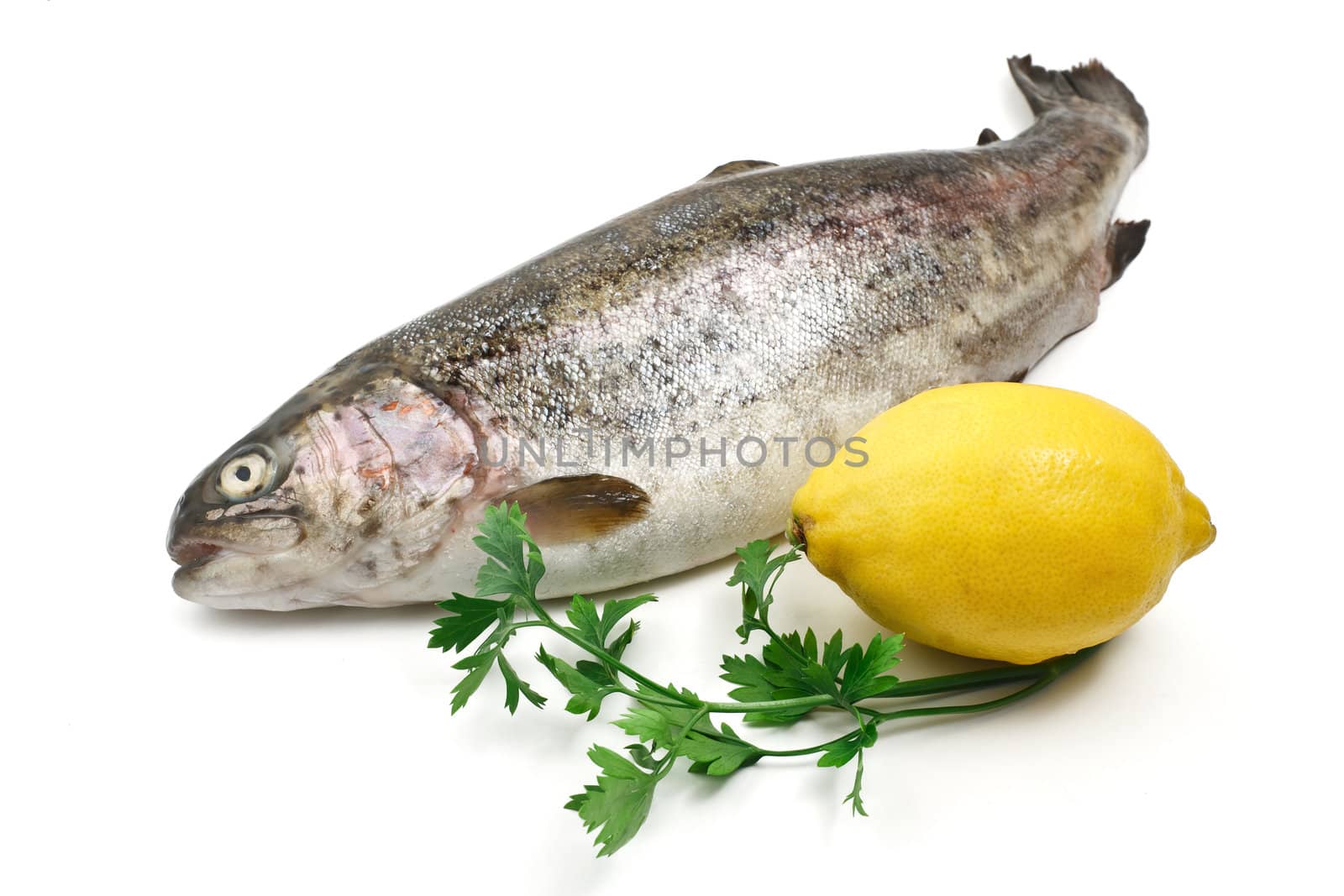 one rainbow trout with lemon and parsley over white background