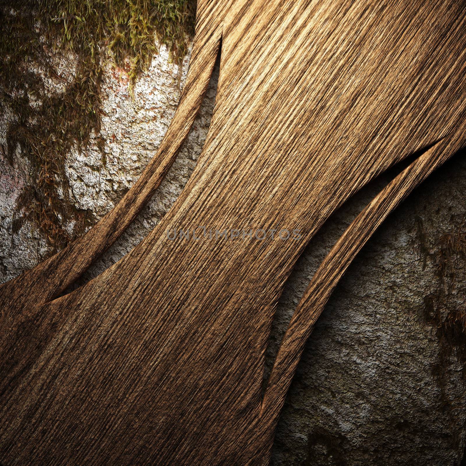 wooden plate on wall made in 3d