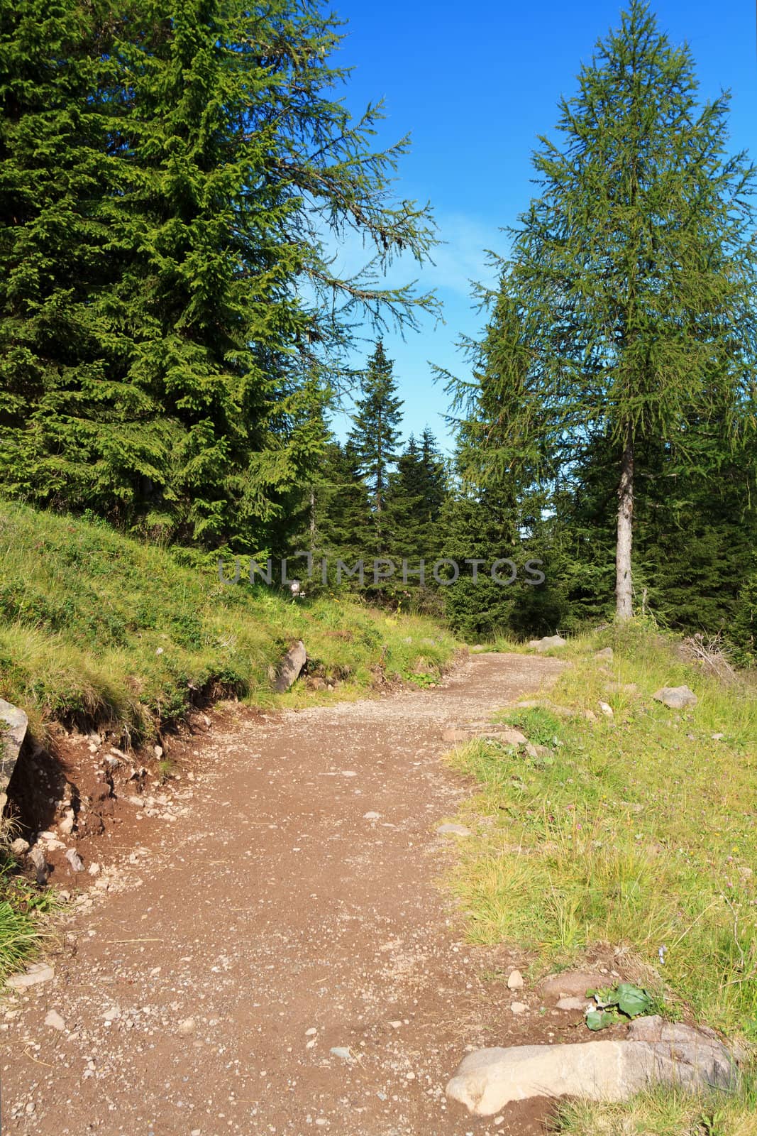 beautiful hike in Italian Dolomites, Trentino, Italy