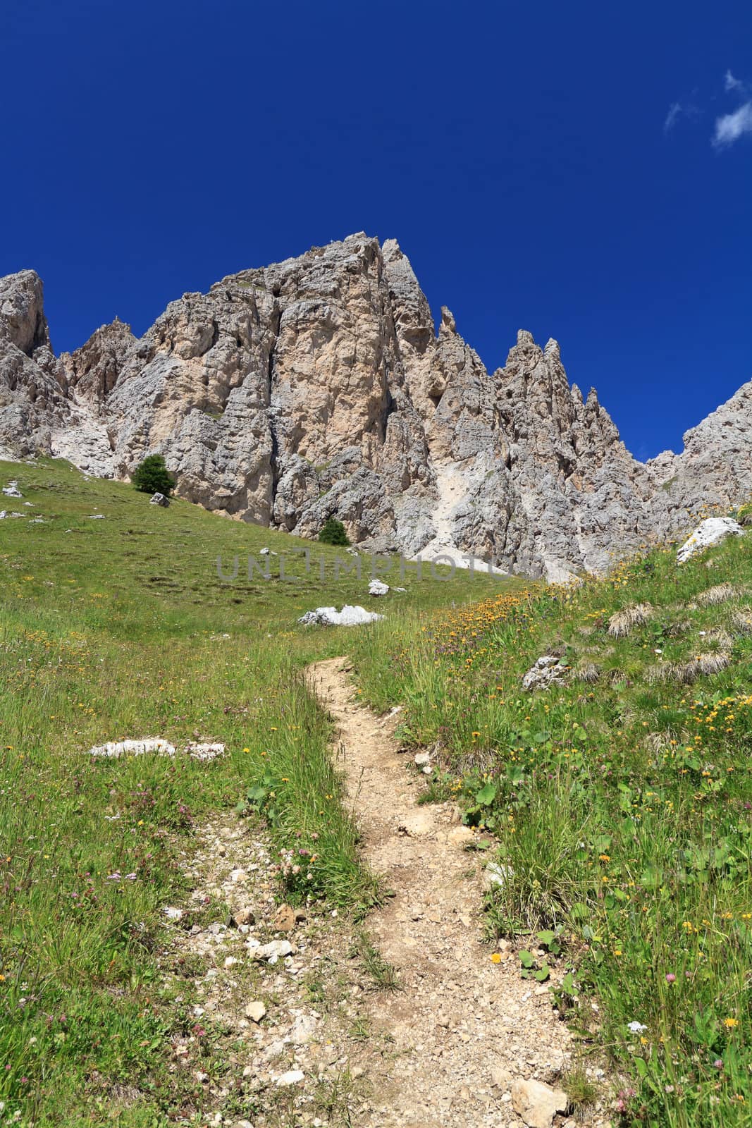 path and meadow beneath Cir Dolomites, Trentino Alto Adige, Italy