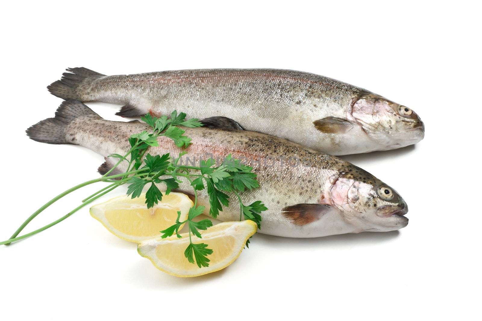 two rainbow trouts with lemon and parsley over white background