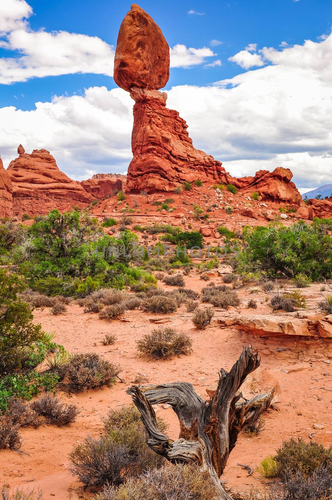 Balanced rock in Arches National Park, Utah by martinm303