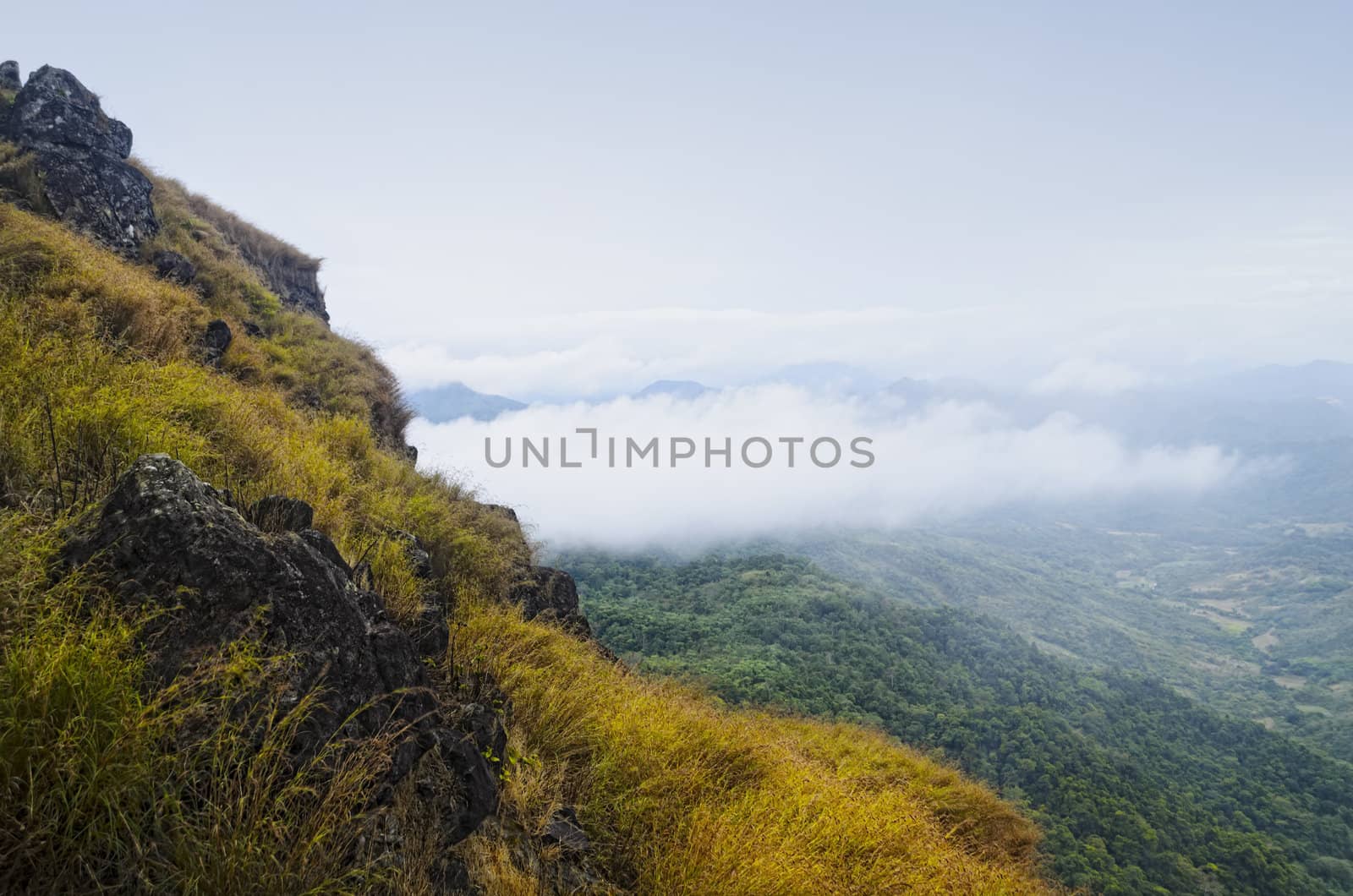 Rocks and grass in foggy mountain