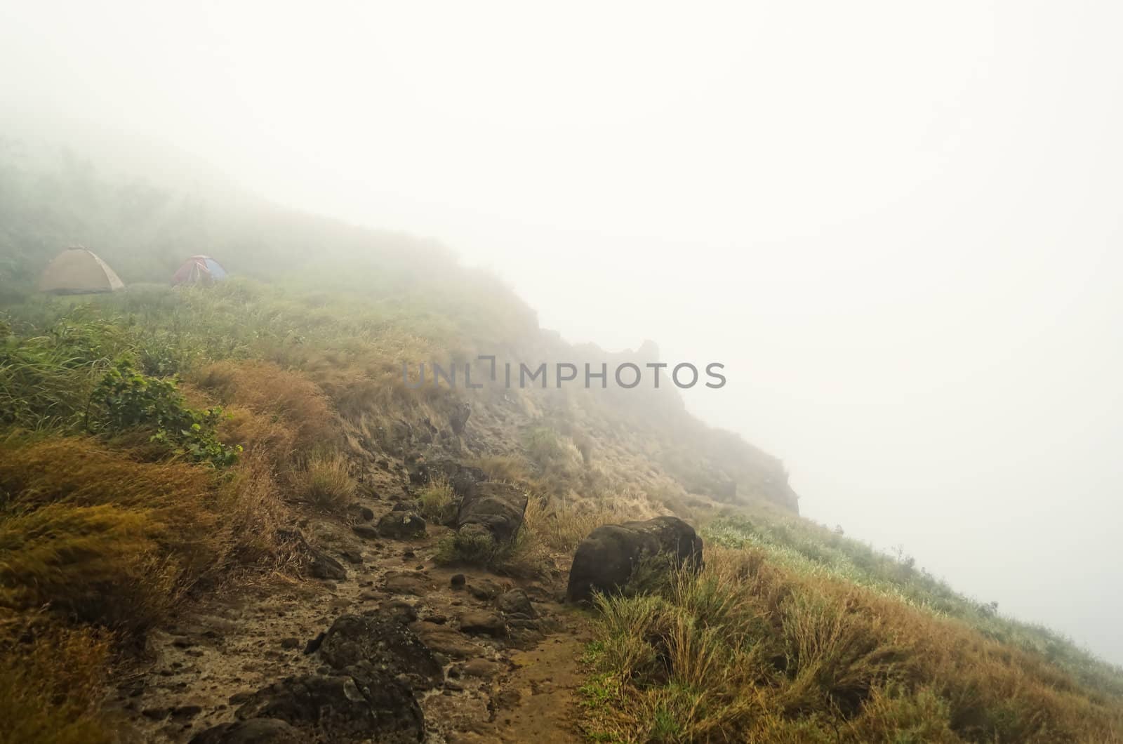 Two tents in a foggy mountain near a cliff