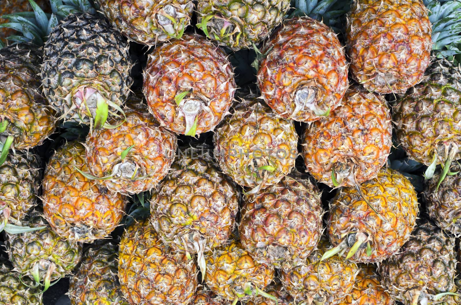 Stack of pineapples in different ripeness stages