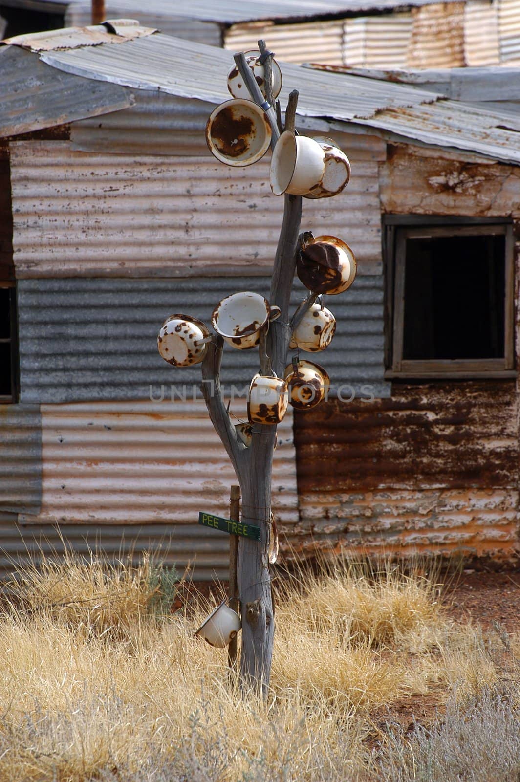 phantom city of Leonora in the Australia Western which was used to place the blue-collar worker of the goldmine, city now given up and preserved in the state as if the inhabitants had disappeared