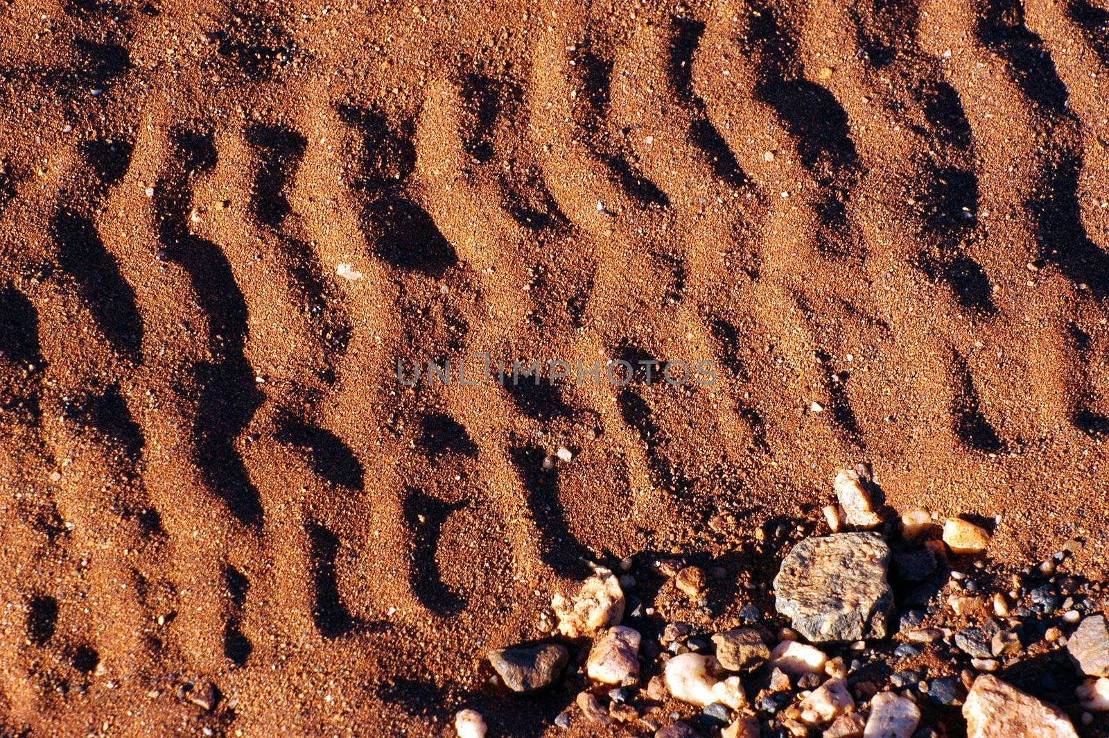tire tracks in the Australian bush