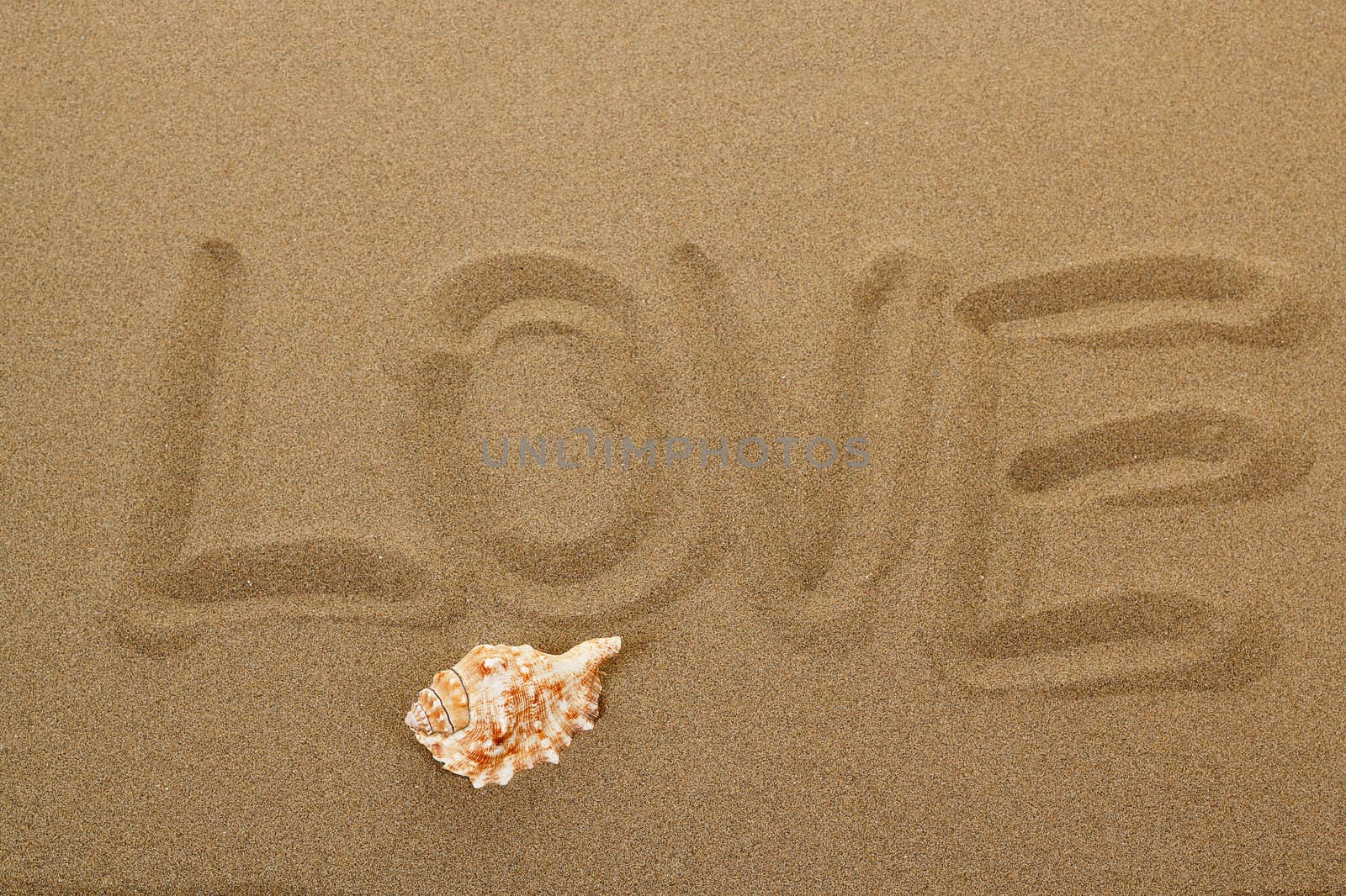 love message with seashell written in sand