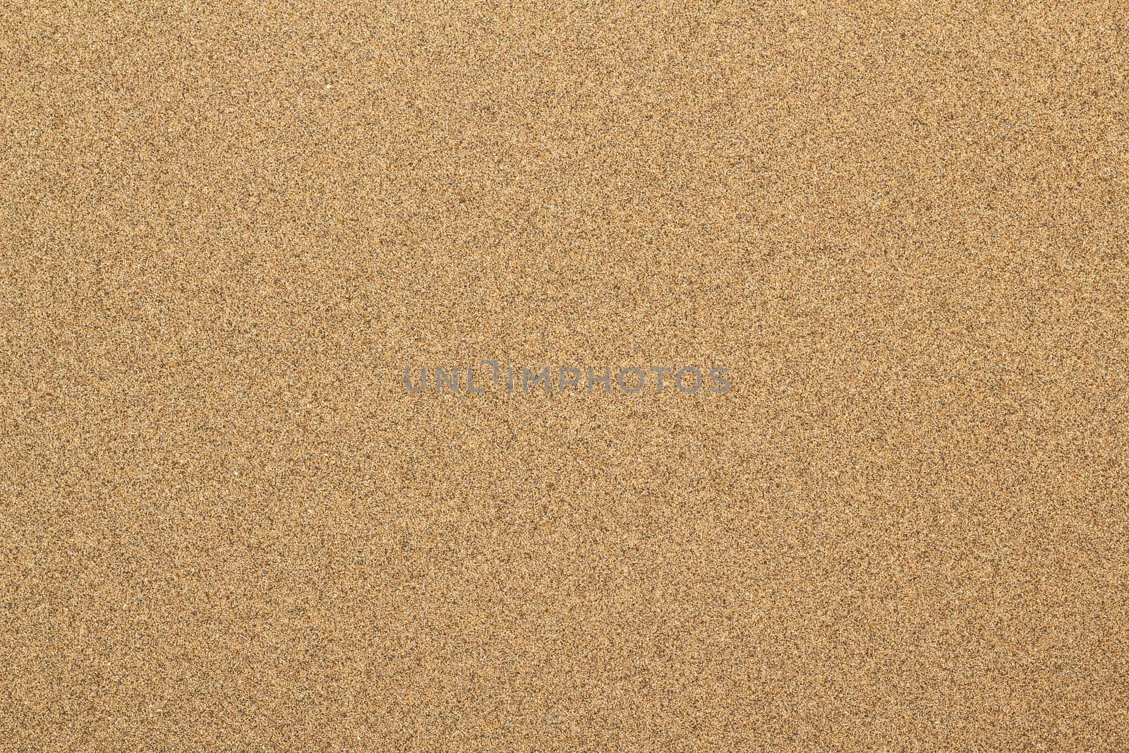 Sandy beach background. Detailed sand texture. Top view 