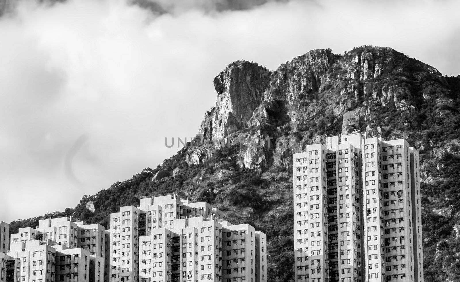 Hong Kong Housing landscape under Lion Rock 