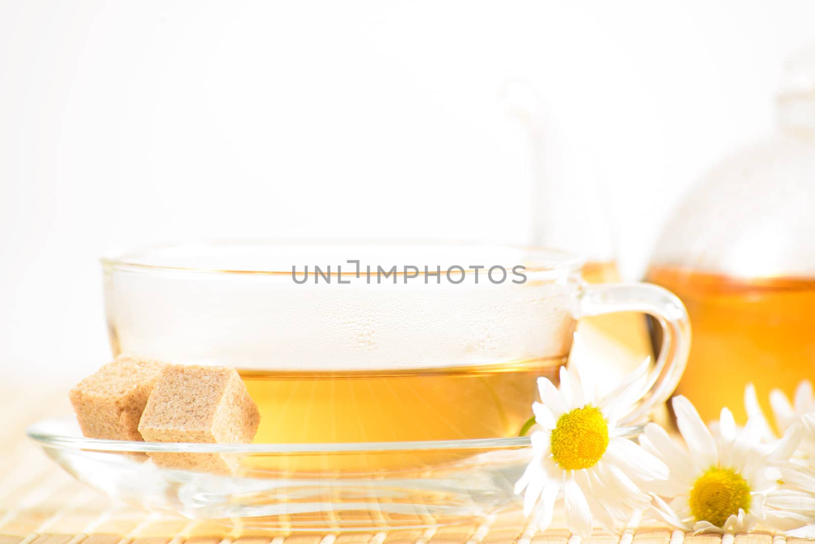 A teacup and a teapot with herbal chamomile tea