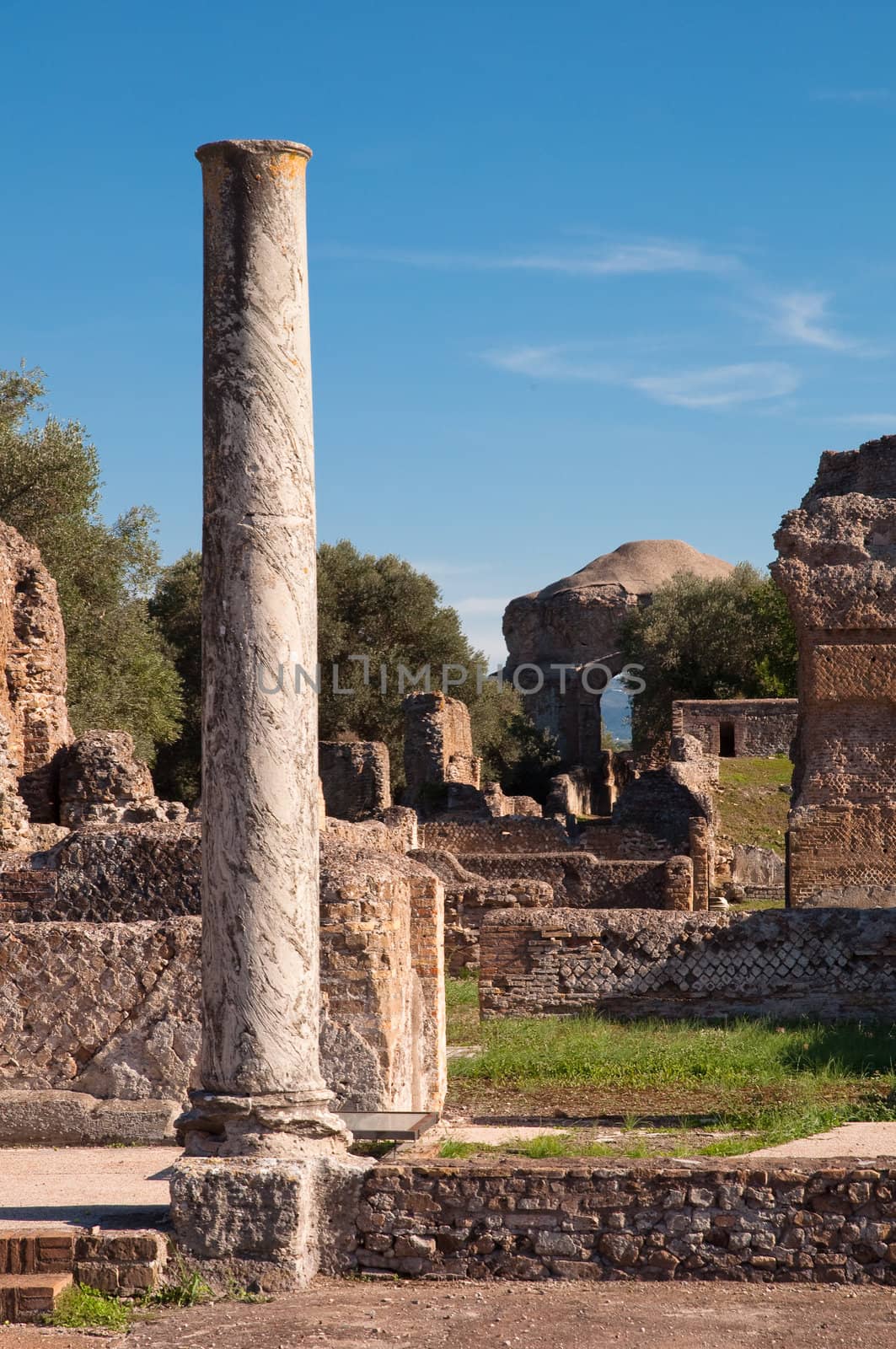 Roman column and Ruins at Villa Adriana in Tivoli - Roma - Italy