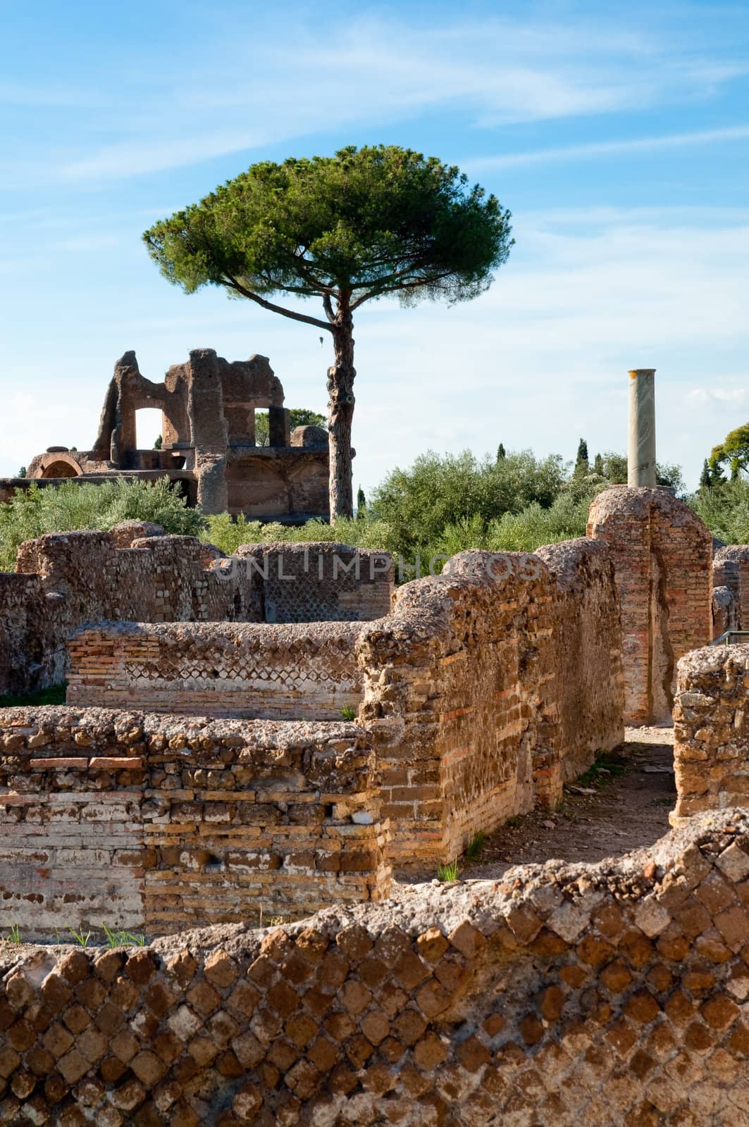 Roman constructions ruins at Villa Adriana tivoli - Roma - Italy