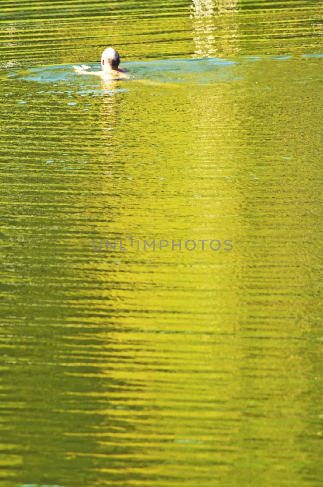 swimming man in evening light by Jochen