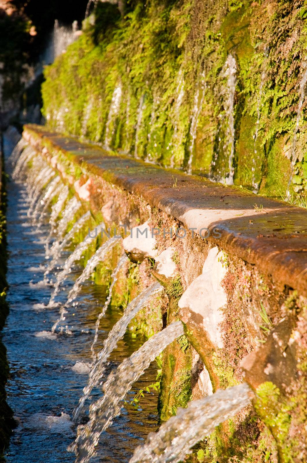 Le cento fontane a Villa d'este in Tivoli - Roma - Italy vertical