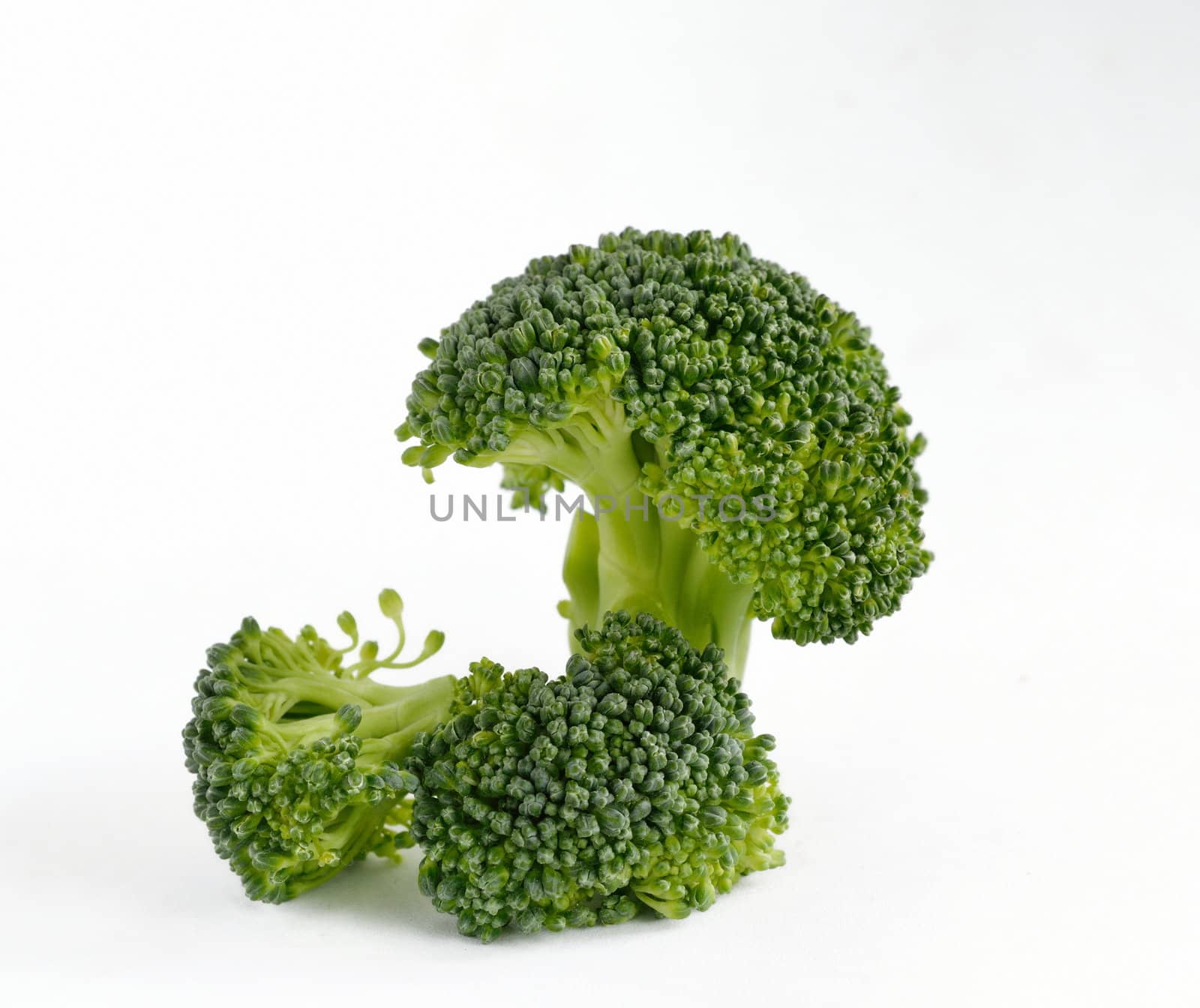Broccoli vegetable isolated on white