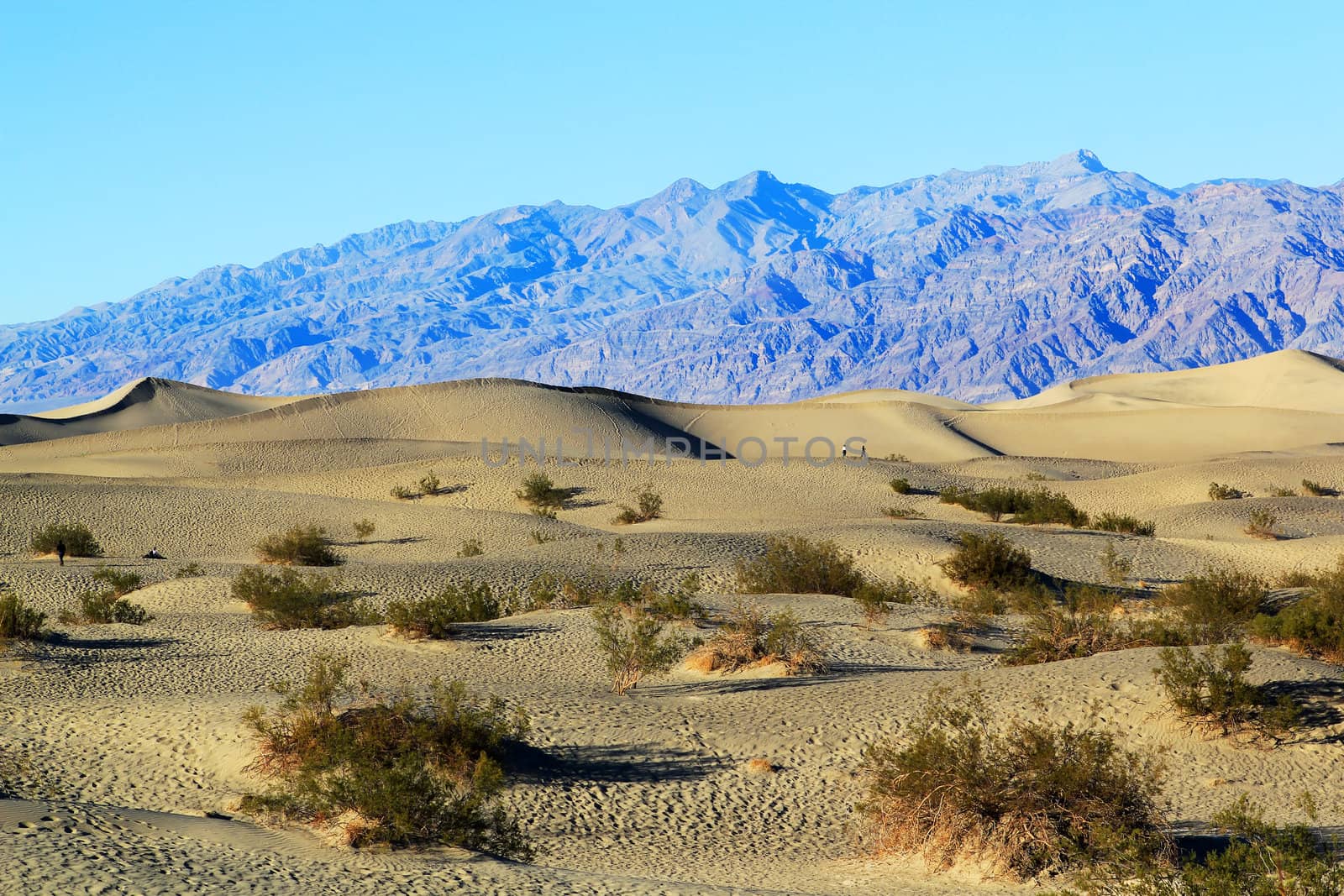 Sand Dunes, Ripples And Mountain Peaks, Death Valley National Park, California