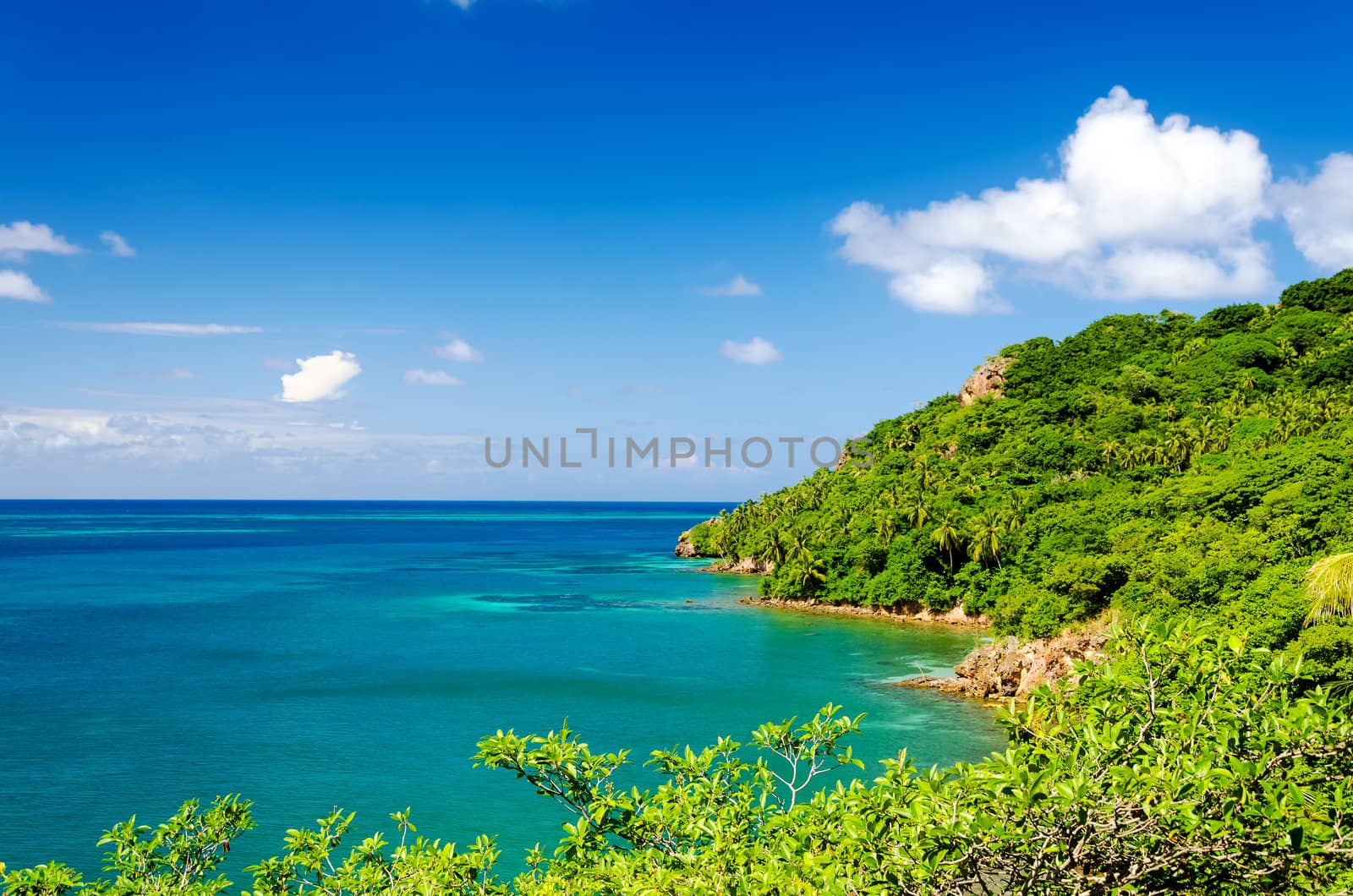 Lush tropical coastline of Caribbean island of San Andres y Providencia in Colombia