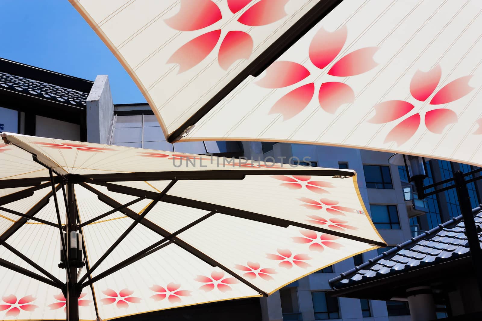 Umbrellas Against the Little Tokyo Skyline