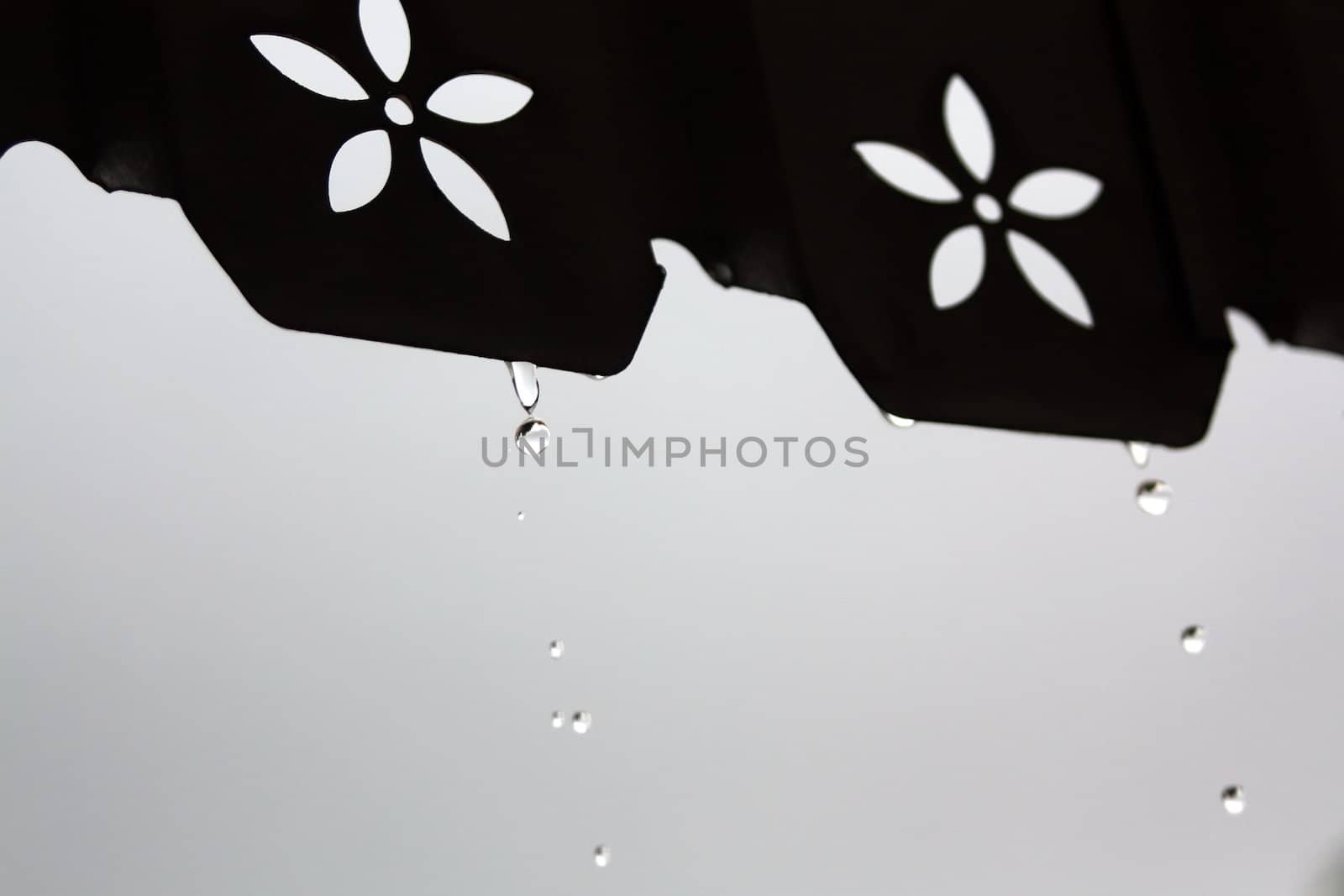Drops of water from the roof