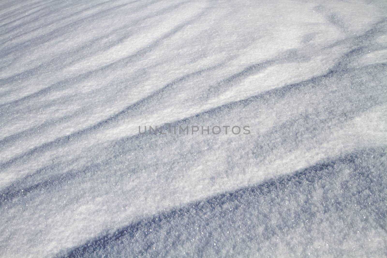 snow by lsantilli