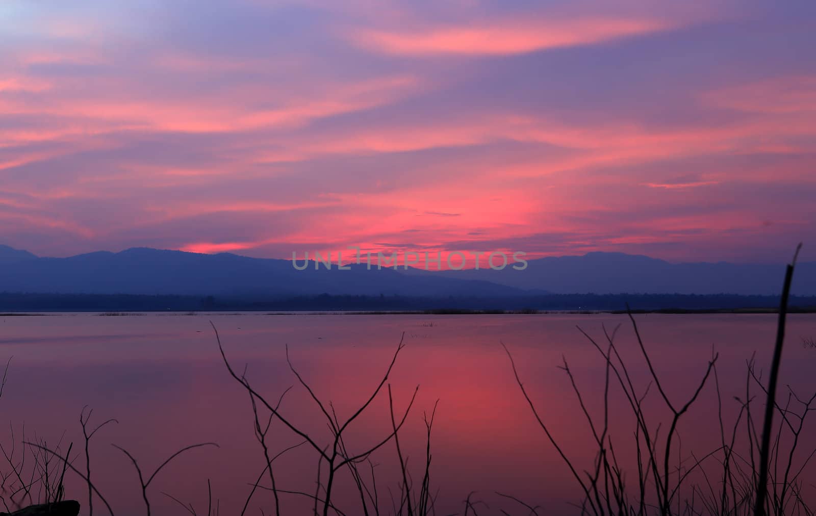 Sunset  silhouette tree on the lake