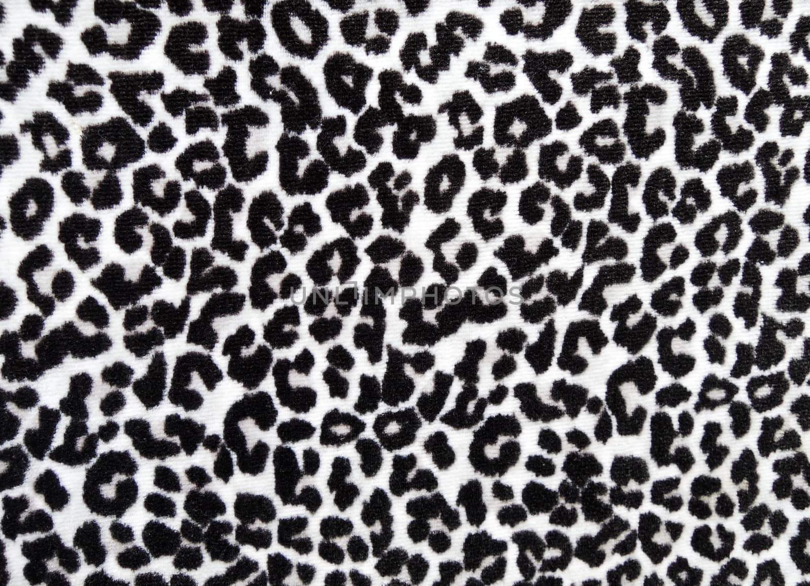 Animal print texture