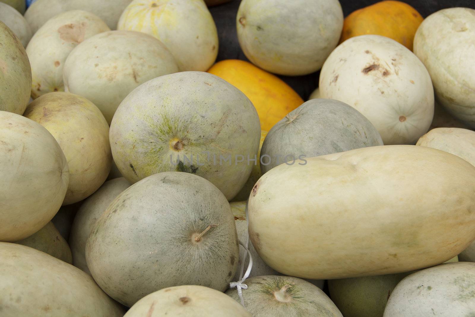 Close up of fresh cantaloupe still on the market