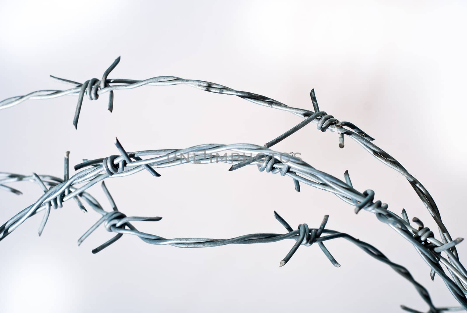 knotty barbwire