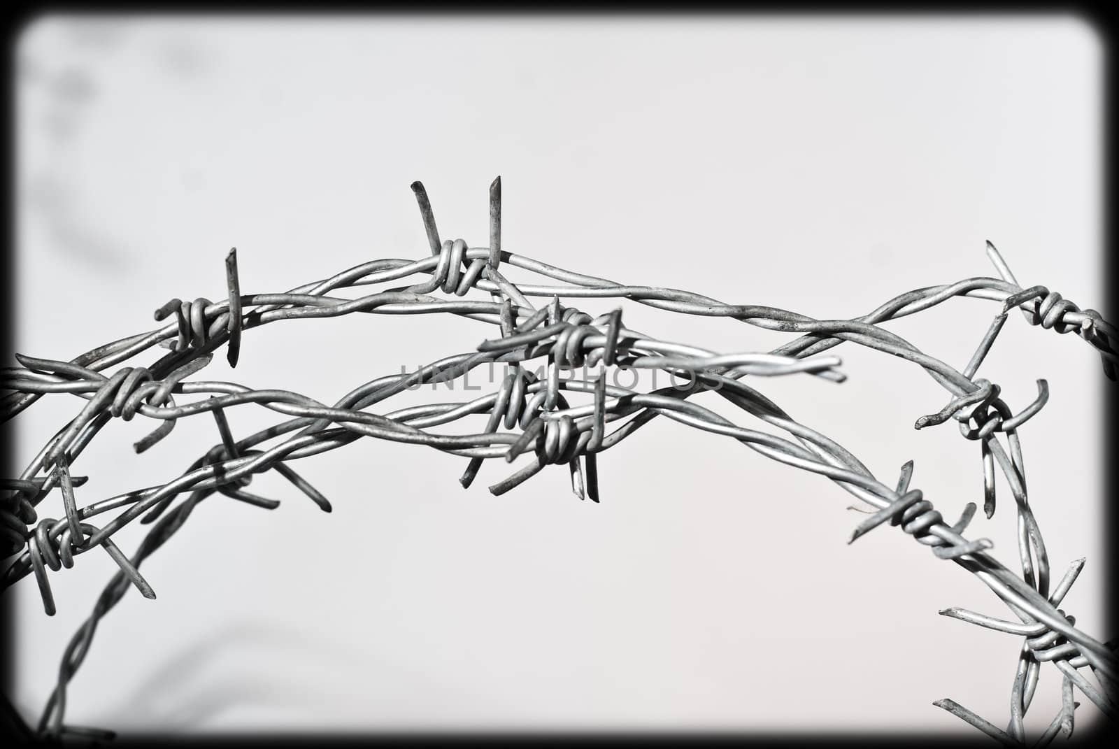 knotty barbwire
