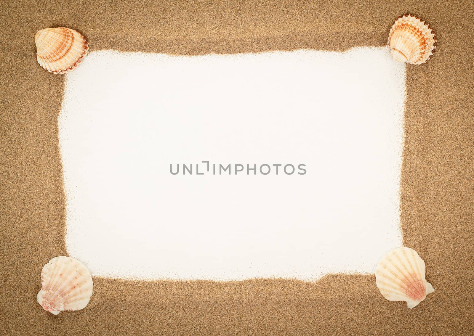 sea shells with sand and white paper as background or backdrop