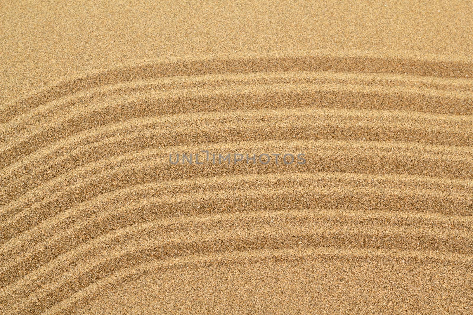 Sandy beach background with lines. Detailed sand texture. Top view 