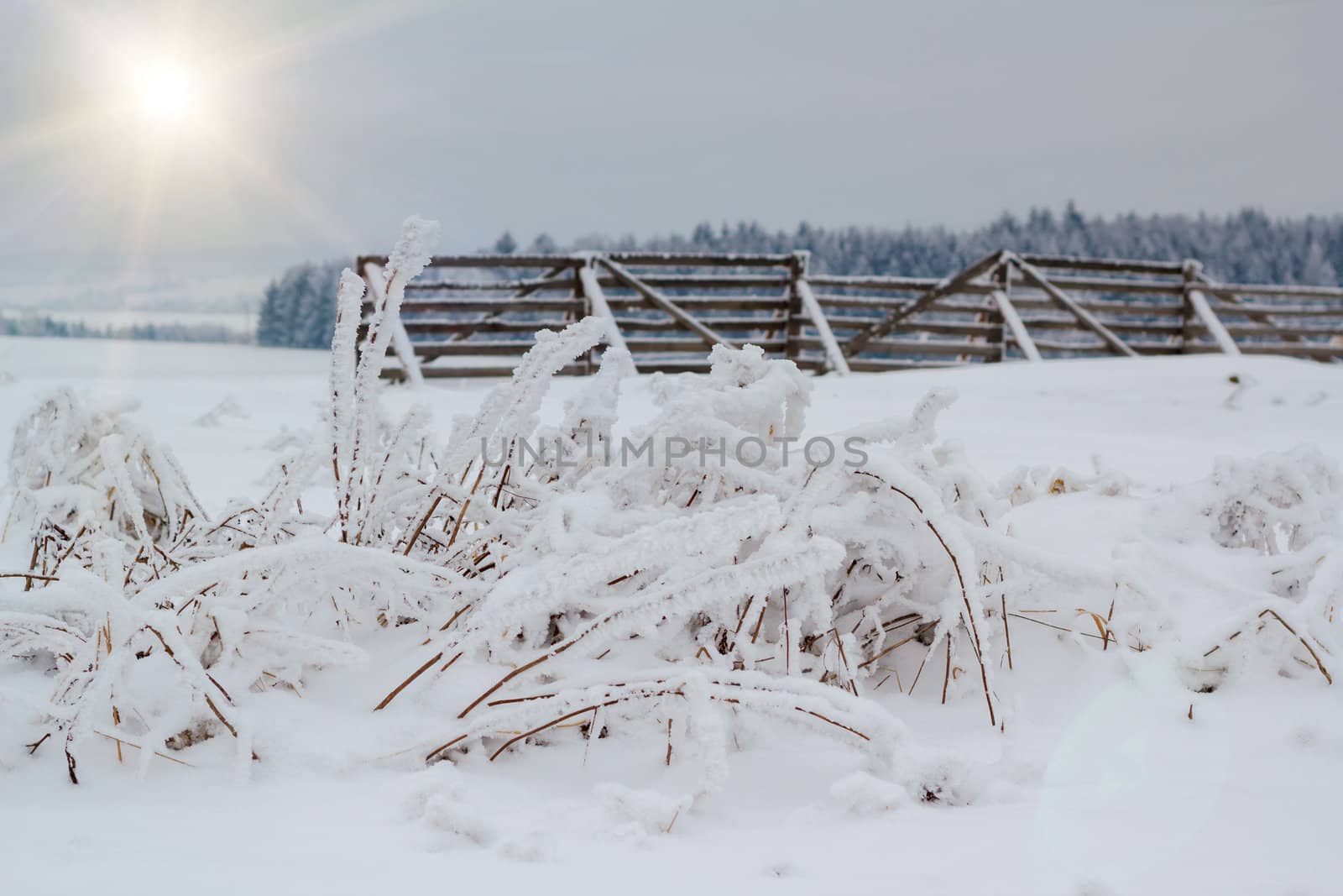 Nice winter landscape with sun and snow barrier