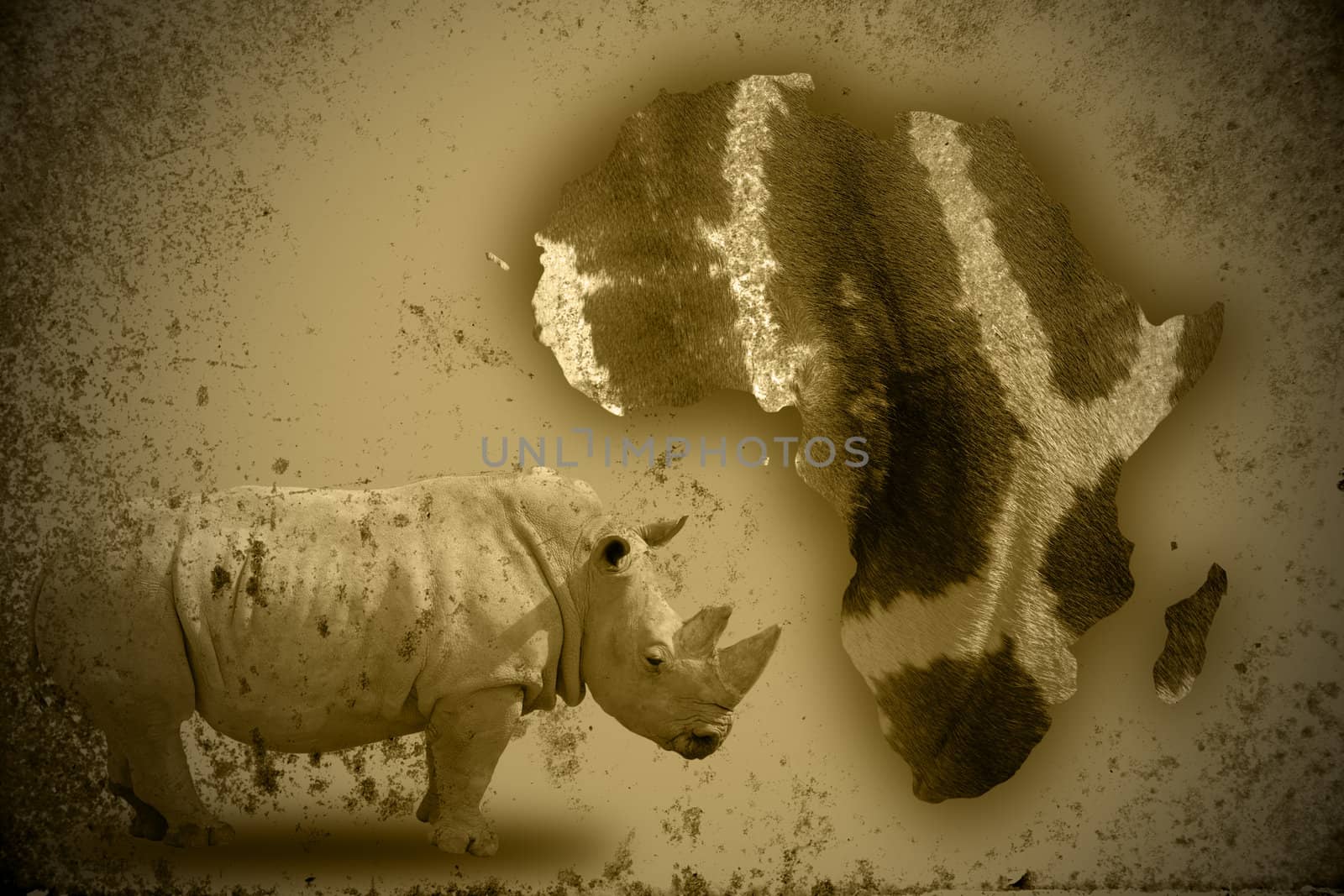 africa and rhino composition