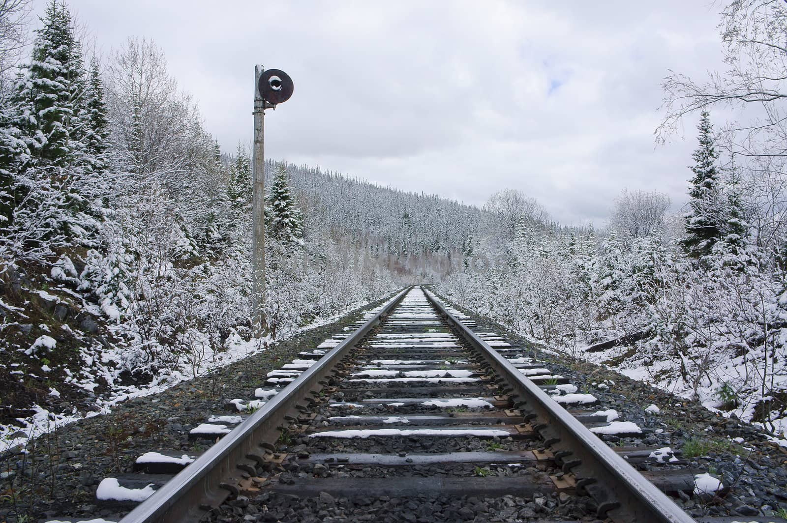 Railroad  receding into the distance, amongst snowy forest.