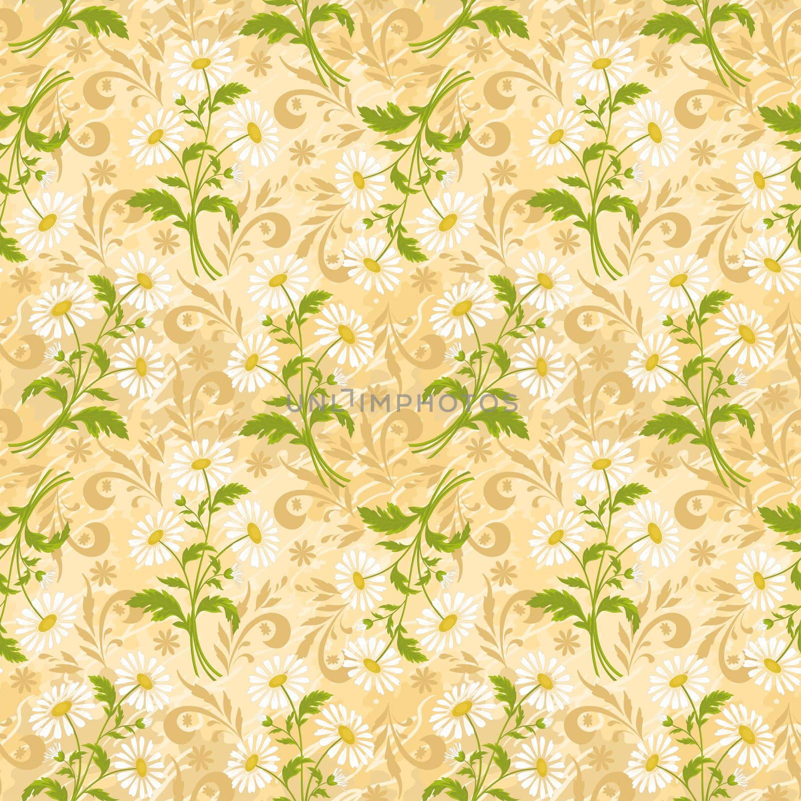 Seamless floral background, chamomile flowers and silhouette on white.