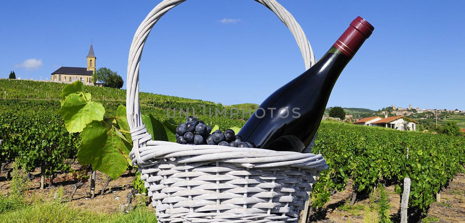 bottle of red wine and grappes in basket in France 
