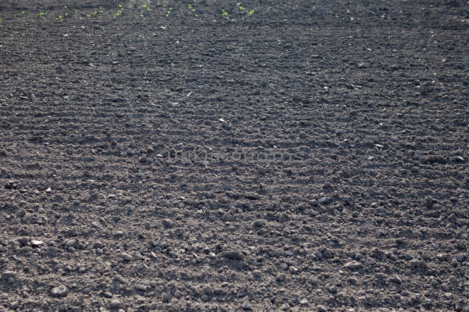 background as a plowed field