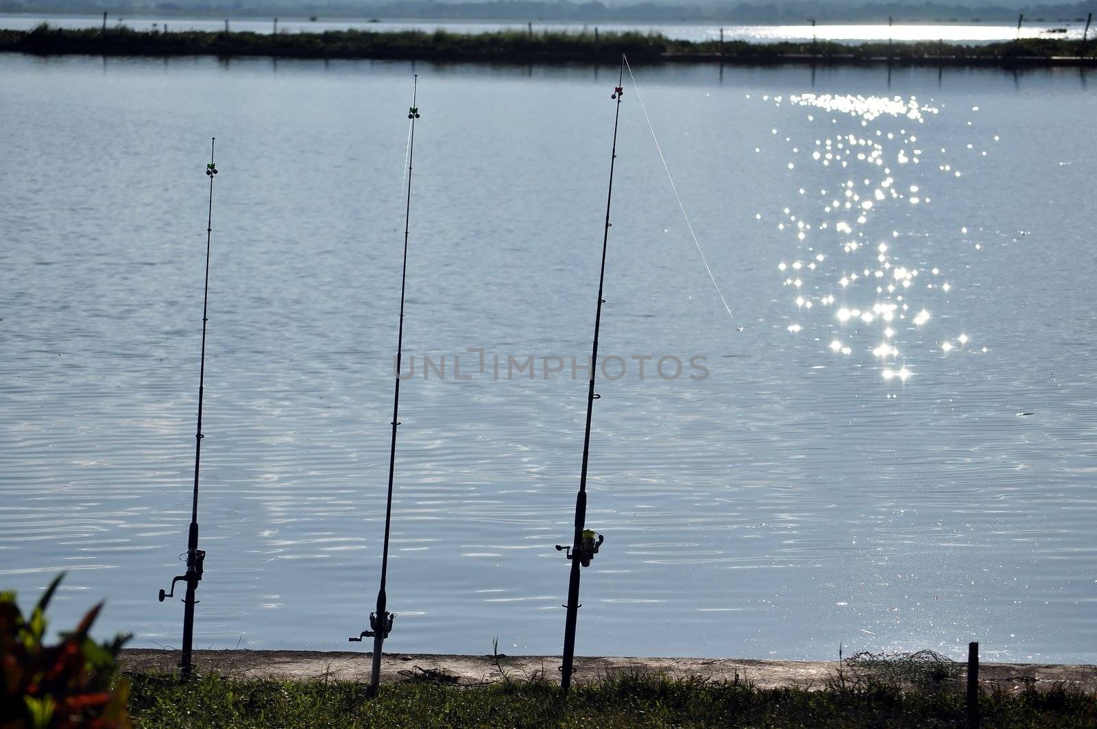 fishing is an activity in holiday 
