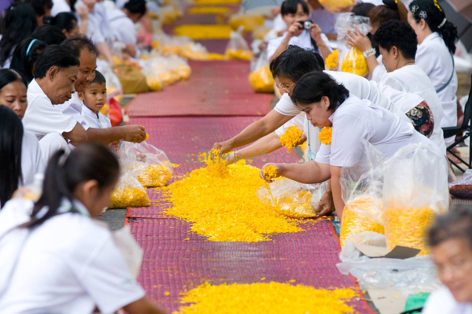 PATHUM THANI - JANUARY 27: Followers preparing the road for 1,128 monks wandering 460km through Bangkok and surroundings on yellow petals on January 27, 2013 in Pathum Thani, Thailand.