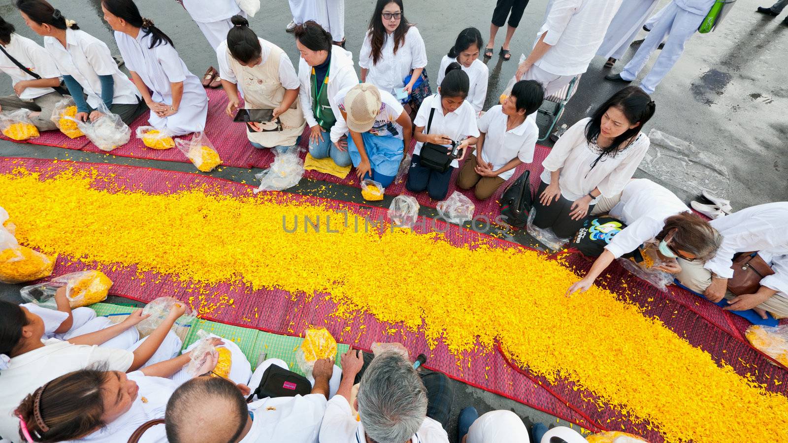 PATHUM THANI - JANUARY 27: Followers preparing the road for 1,128 monks wandering 460km through Bangkok and surroundings on yellow petals on January 27, 2013 in Pathum Thani, Thailand.