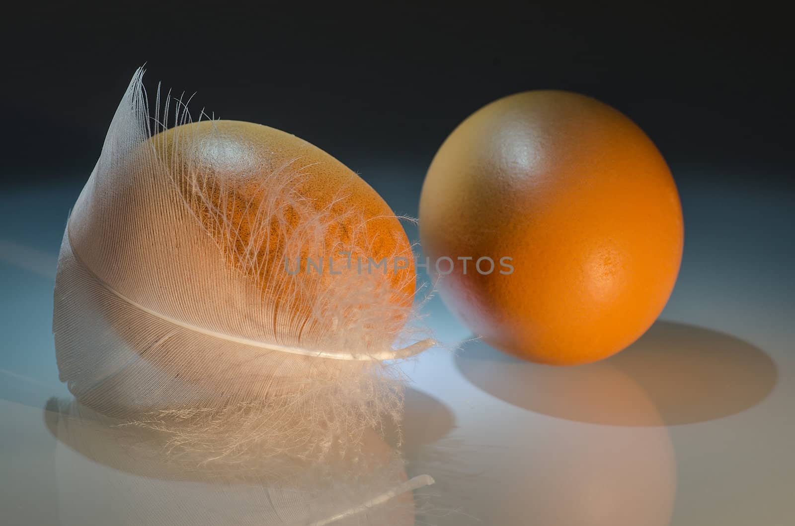 two brown eggs with feather one side