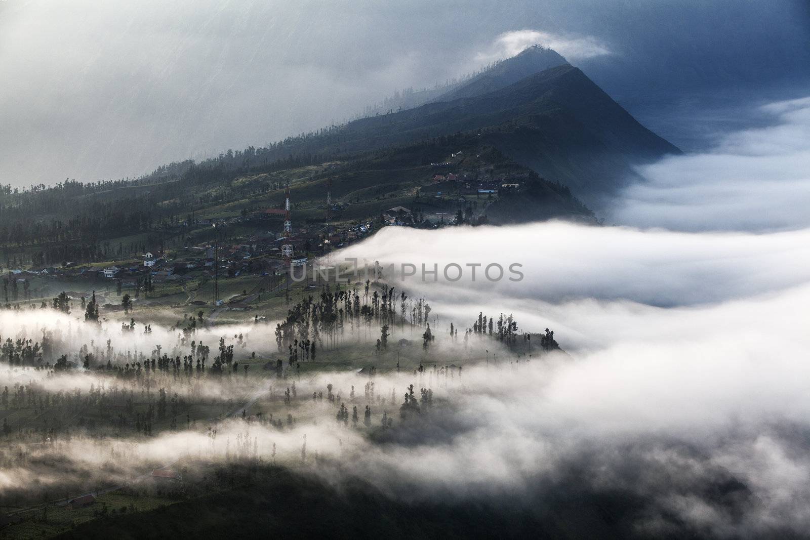 The mist at Cemoro Lawang Village Bromo Indonesia